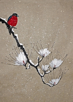 松树枝上的灰照片