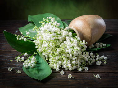 山谷的百合花花束木制的桌子上