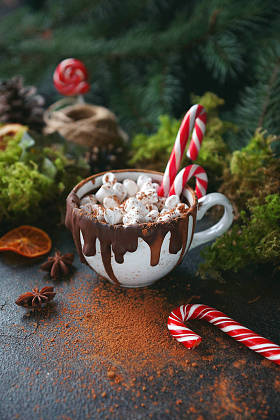 圣诞节热巧克力在黑杯子与焦桔子, 冷杉分支和糖果藤在黑暗的背景, 选择的焦点