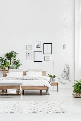 卧室海报库图片