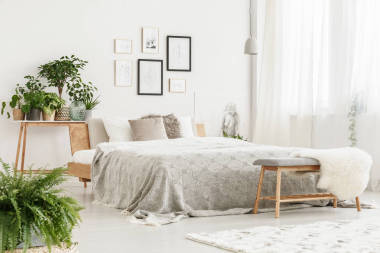 與植物的房間圖片