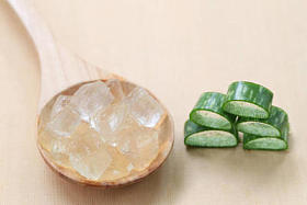 木地板鲜芦荟片