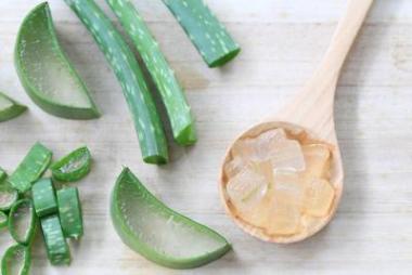 木地板鮮蘆薈片