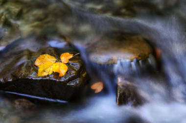 秋天瀑布?？柊挖渖缴巷L(fēng)景如畫的小河