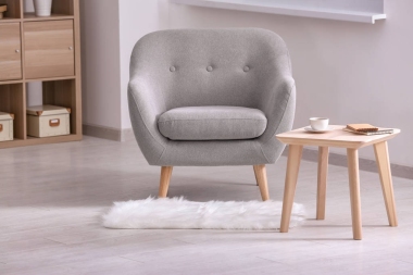 典雅的室内客厅