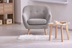 典雅的室内客厅