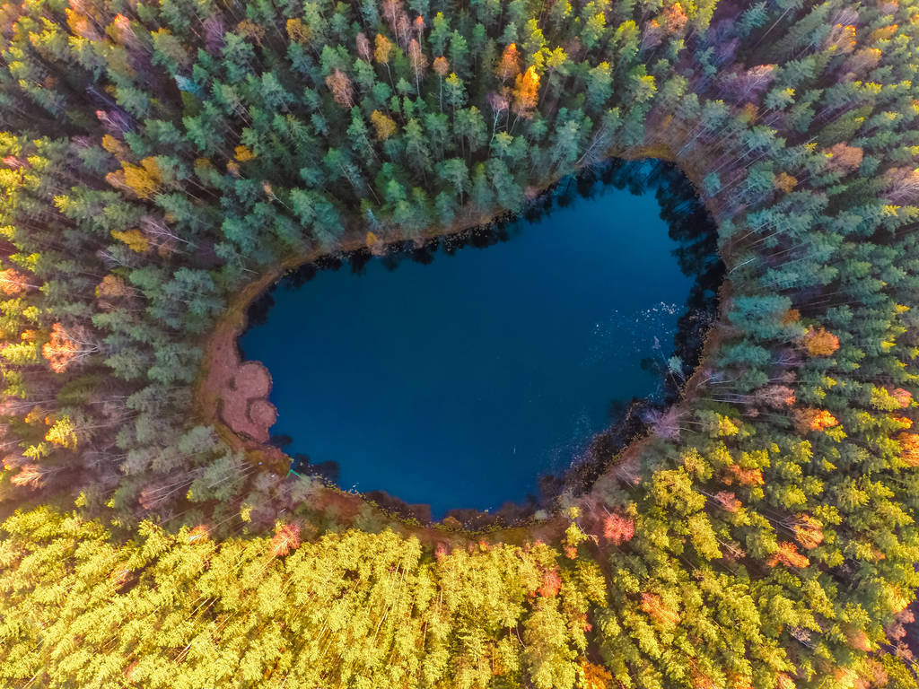 空中