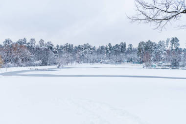 冬季公園內(nèi)有冰凍湖泊和白雪覆蓋的樹木的美麗風(fēng)景