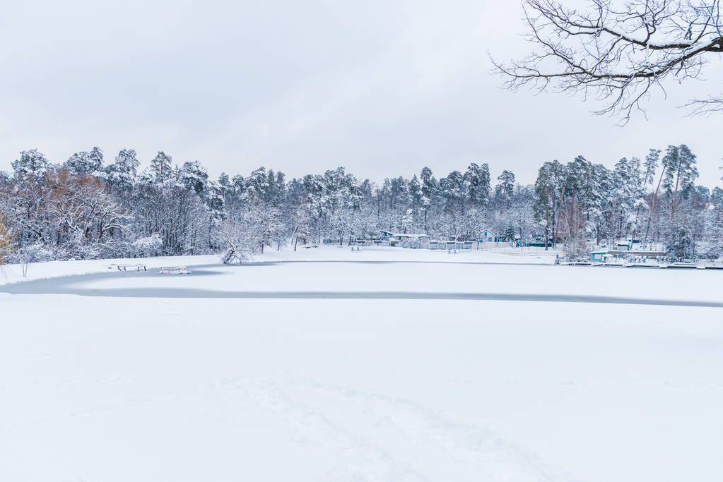 冬季公园内有冰冻湖泊和白雪覆盖的树木的美丽风景