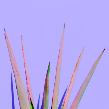 蘆薈植物戶外最小設計