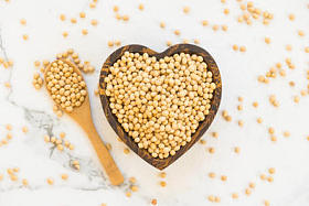 木盆黄黄豆-健康营养食品概念