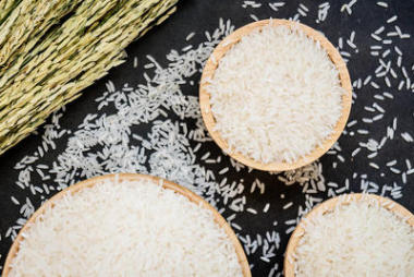 木盆生茉莉花飯圖片