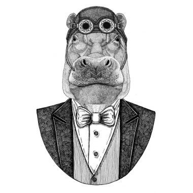 河馬, 河馬, 巨獸, 河馬動(dòng)物佩帶飛行員頭盔和夾克與弓領(lǐng)帶飛行俱樂部手畫的例證為紋身, t-shirt, 徽章, 標(biāo)志, 徽章, 補(bǔ)