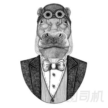 河馬, 河馬, 巨獸, 河馬動物佩帶飛行員頭盔和夾克與弓領(lǐng)帶飛行俱樂部手畫的例證為紋身, t-shirt, 徽章, 標(biāo)志, 徽章, 補(bǔ)