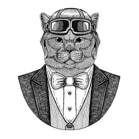 英国高贵的猫雄性动物佩带飞行员头盔和夹克与弓领带飞行俱乐部手绘的例证为纹身、t-shirt、徽章、标志、徽章、补