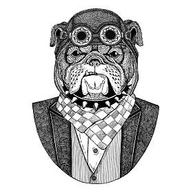 斗牛犬狗动物佩带飞行员头盔和夹克与弓领带飞行俱乐部手画的例证为纹身、t-shirt、徽章、标志、徽章、补