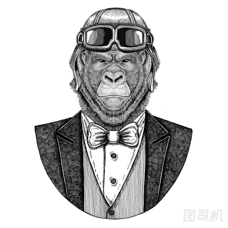 大猩猩, 猴, 猿動(dòng)物佩帶飛行員頭盔和夾克用弓領(lǐng)帶飛行俱樂部手畫的例證為紋身, t-shirt, 徽章, 標(biāo)志, 徽章, 補(bǔ)
