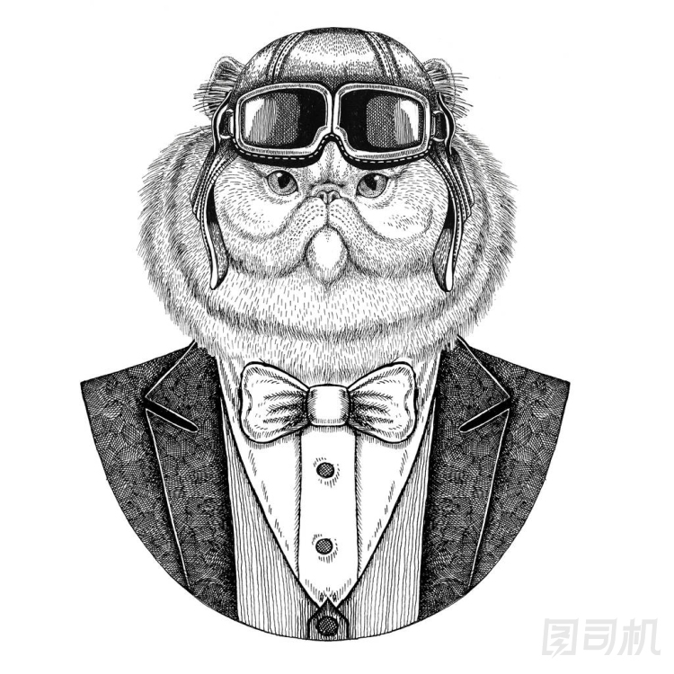 毛茸茸的波斯貓動(dòng)物的肖像佩帶飛行員頭盔和夾克與弓領(lǐng)帶飛行俱樂部手繪紋身, t-shirt, 徽章, 標(biāo)志, 徽章, 補(bǔ)丁的例