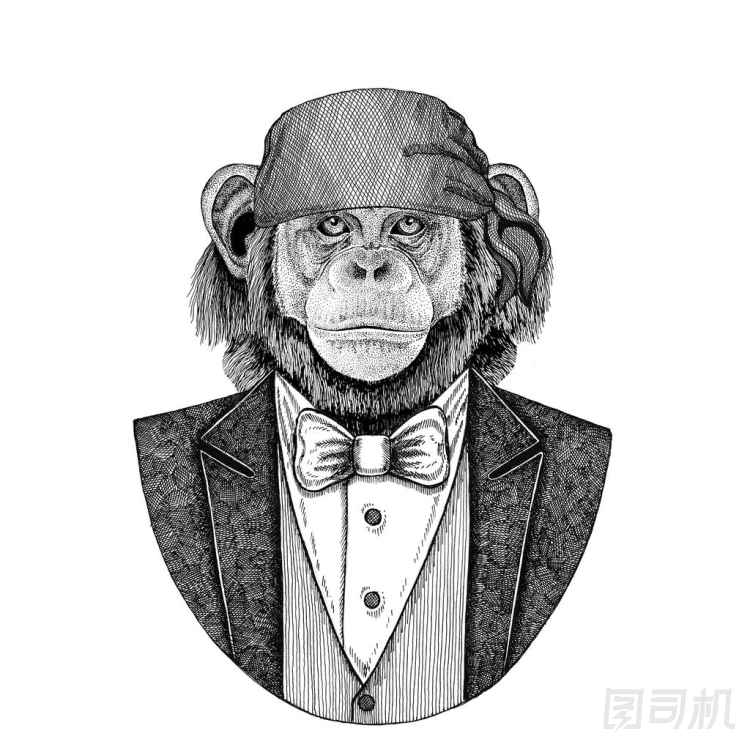黑猩猩, 猴子狂放的摩托車(chē)手, 海盜動(dòng)物佩帶手帕手繪圖像為紋身、徽章、徽章、標(biāo)志、補(bǔ)丁、t-shirt