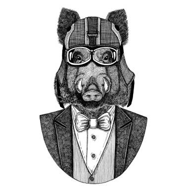 報紙, 野豬, 豬, 野豬, 報紙。動物穿夾克與弓領(lǐng)帶和車手頭盔或 aviatior 頭盔。優(yōu)雅的摩托騎手圖像為紋身, t-shirt, 徽章, 徽章, 標(biāo)志, 補(bǔ)
