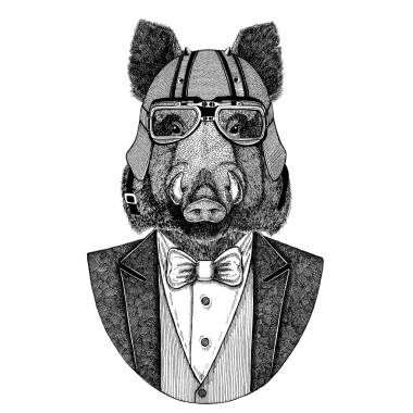 報紙, 野豬, 豬, 野豬, 報紙。動物穿夾克與弓領(lǐng)帶和車手頭盔或 aviatior 頭盔。優(yōu)雅的摩托騎手圖像為紋身, t-shirt, 徽章, 徽章, 標(biāo)志, 補(bǔ)丁