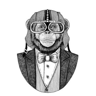 黑猩猩猴動(dòng)物穿夾克與弓領(lǐng)帶和車手頭盔或 aviatior 頭盔。優(yōu)雅的摩托車手, 摩托騎手, 飛行員。圖像為紋身, t-shirt, 徽章, 徽章, 標(biāo)志, 補(bǔ)