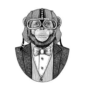 黑猩猩猴动物穿夹克与弓领带和车手头盔或 aviatior 头盔。优雅的摩托车手, 摩托骑手, 飞行员。图像为纹身, t-shirt, 徽章, 徽章, 标志, 补