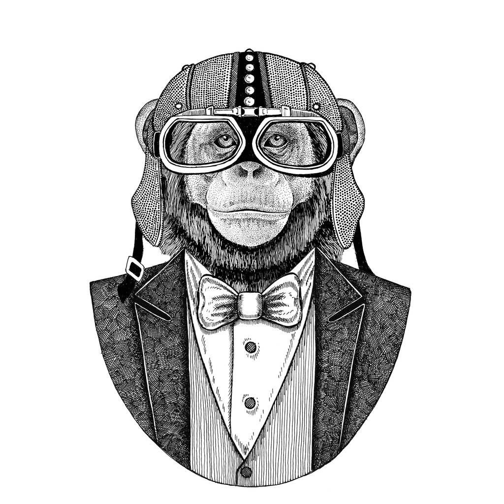 黑猩猩猴动物穿夹克与弓领带和车手头盔或 aviatior 头盔。优雅的摩托车手, 摩托骑手, 飞行员。图像为纹身, t-shirt, 徽章, 徽章, 标志, 补 黑猩猩猴动物穿夹克与弓领带和车手头盔或 aviatior 头盔。优雅的摩托车手, 摩托骑手, 飞行员。图像为纹身, t-shirt, 徽章, 徽章, 标志, 补