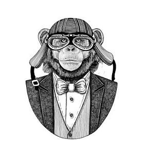 黑猩猩猴动物穿夹克与弓领带和车手头盔或 aviatior 头盔。优雅的摩托车手, 摩托骑手, 飞行员。图像为纹身, t-shirt, 徽章, 徽章, 标志, 补
