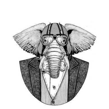 非洲或印度大象动物穿夹克与弓领带和车手头盔或 aviatior 头盔。优雅的摩托车手, 摩托骑手, 飞行员。图像为纹身, t-shirt, 徽章, 徽章, 标志, 补