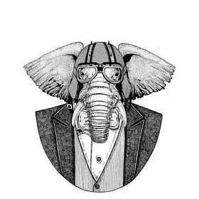 非洲或印度大象动物穿夹克与弓领带和车手头盔或 aviatior 头盔。优雅的摩托车手, 摩托骑手, 飞行员。图像为纹身, t-shirt, 徽章, 徽章, 标志, 补