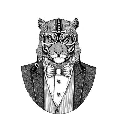 野生老虎動物穿夾克與弓領帶和車手頭盔或 aviatior 頭盔。優(yōu)雅的摩托車手, 摩托騎手, 飛行員。圖像為紋身, t-shirt, 徽章, 徽章, 標志, 補