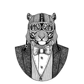 野生老虎动物穿夹克与弓领带和车手头盔或 aviatior 头盔。优雅的摩托车手, 摩托骑手, 飞行员。图像为纹身, t-shirt, 徽章, 徽章, 标志, 补