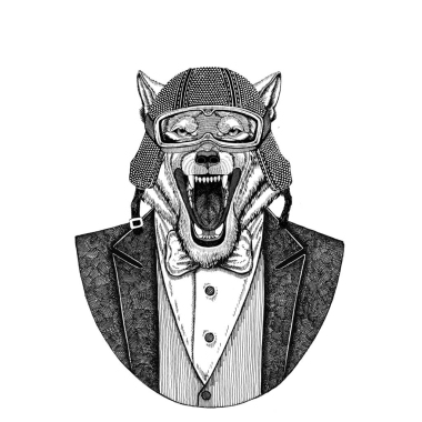 狼, 野生狗的動物穿夾克與弓領帶和車手頭盔或 aviatior 頭盔。優(yōu)雅的摩托車手, 摩托騎手, 飛行員。圖像為紋身, t-shirt, 徽章, 徽章, 標志, 補