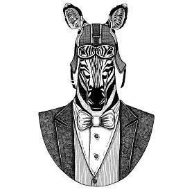 斑马马动物穿夹克与弓领带和车手头盔或 aviatior 头盔。优雅的摩托车手, 摩托骑手, 飞行员。图像为纹身, t-shirt, 徽章, 徽章, 标志, 补