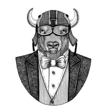 水牛, 野牛, 公牛, 公牛動(dòng)物穿夾克與弓領(lǐng)帶并且車手盔甲或 aviatior 盔甲。優(yōu)雅的摩托車手, 摩托騎手, 飛行員。圖像為紋身, t-shirt, 徽章, 徽章, 標(biāo)志, 補(bǔ)