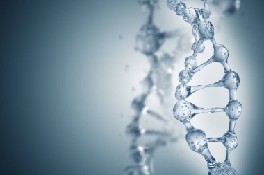 美麗背景下的DNA分子