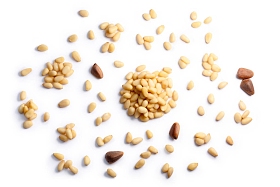 松树坚果回赠松籽, 顶视图, 路径