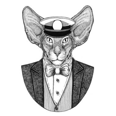 东方猫与大耳朵动物穿夹克与弓领带和 capitans 尖顶帽子优雅的水手, 海军, 船长, 海盗。图像为纹身, t-shirt, 徽章, 徽章, 标志, 补