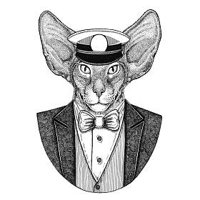 东方猫与大耳朵动物穿夹克与弓领带和 capitans 尖顶帽子优雅的水手, 海军, 船长, 海盗。图像为纹身, t-shirt, 徽章, 徽章, 标志, 补
