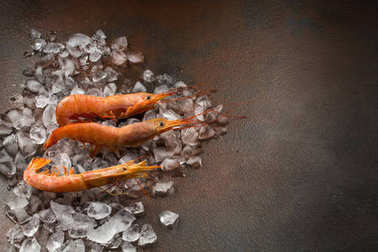 紅色的阿根廷蝦頭在黑暗的背景下。大虎蝦或 langostinos