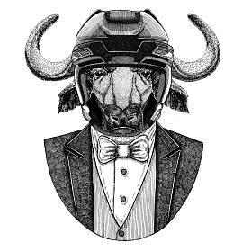 水牛, 公牛, 牛动物穿夹克与弓领带和曲棍球头盔或 aviatior 头盔。优雅的曲棍球运动员。图像为纹身, t-shirt, 徽章, 徽章, 标志, 补