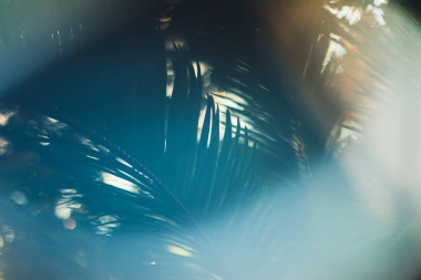 清新健康的生物背景模糊自然與抽象模糊的葉子和明亮的夏天耀斑陽(yáng)光背景在公園, copyspace 為文字或廣告, 散綠色棕櫚葉紋理, 生態(tài)學(xué)概念