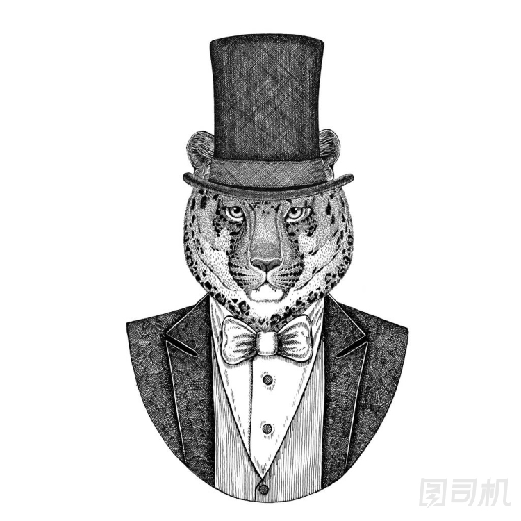 豹, 豹, 美洲獅, 美洲獅, 野貓。動(dòng)物穿夾克與弓領(lǐng)帶和絲綢帽子, 海貍帽子, 圓筒頂帽子。優(yōu)雅的復(fù)古動(dòng)物。圖像為紋身, t-shirt, 徽章, 徽章, 標(biāo)志, 補(bǔ)