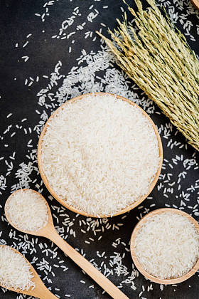 木盆生茉莉花饭图片