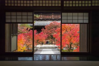 南禅寺寺在京都在秋天图片