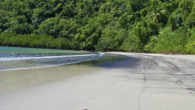 丹特里國家公園、 澳大利亞的植被