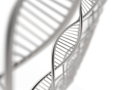 dna 鏈的形象圖片
