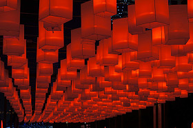 挂着红灯笼图片