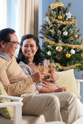 快乐的老年夫妇在家享受香槟